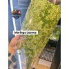 Moringa Leaves 200g