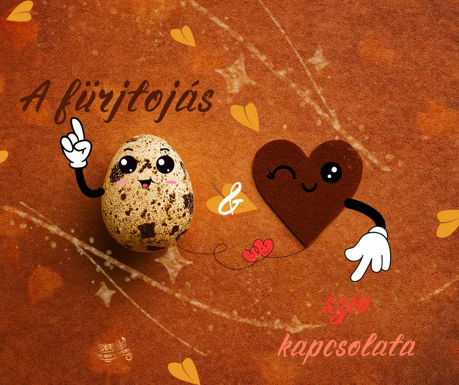 Őszi szívvédelem természetesen – hogyan támogatja a fürjtojás a keringést és a vérnyomást?