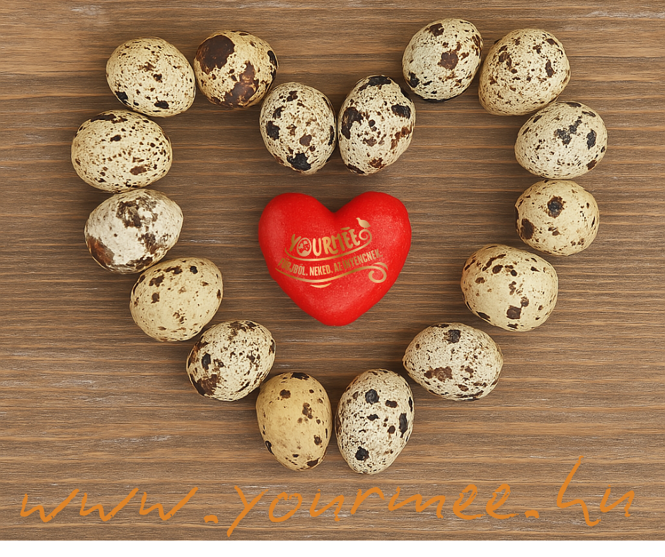 🌱Ma van az 𝑒𝑔𝑒̀𝓈𝓏𝓈𝑒̀𝑔 𝓋𝒾𝓁𝒶̀𝑔𝓃a𝓅𝒿𝒶.🌱