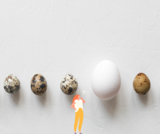 Fürj - és tyúktojás összehasonlítása