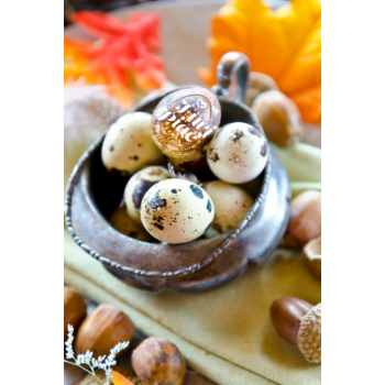 Itt van az ősz, itt van újra