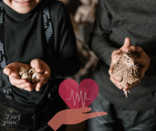 Amikor ráléptünk az "útra"