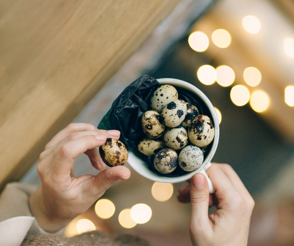 Fürjtojás körutazás – kis tojás, nagy világ