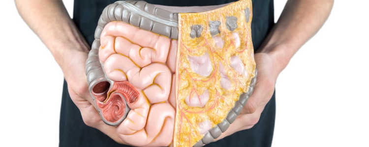 S Complexem F proti viscerálnímu tuku