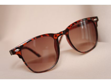 Sluneční brýle TIGER HORIZONT