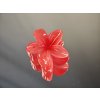 Skřipec do vlasů ALOHA BLOOM červený