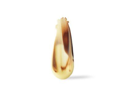 77102 abstract