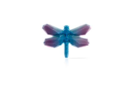 78439 dragonfly