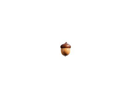 decor glands chocolat blanc caramelise 2