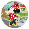 114371 DISCO OBLEA TARTA MINNIE 20CM FOIL 7