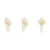F50605 FC mini calla 2
