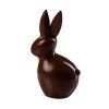 63c165dae39ee1fb9e87ba30 (1)