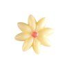 decor paquerettes chocolat blanc x1