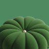 topcake green 100ml new 2
