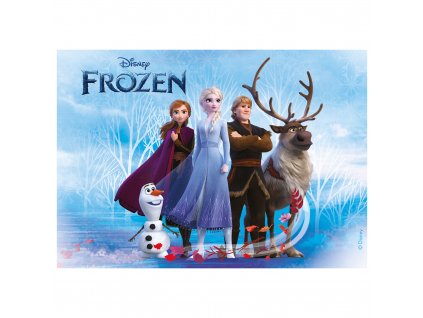 236054 LAMINA FONDANT TARTA FROZEN 148X21CM A5 (FR) 1