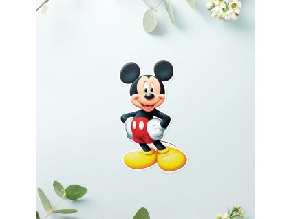 RP0041 Mickey mouse 1530x1530