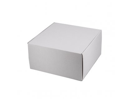 4170 1 kartonova krabicka 250x250x130