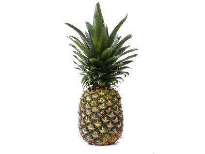 4830 1 fc ochucovacia pasta ananas
