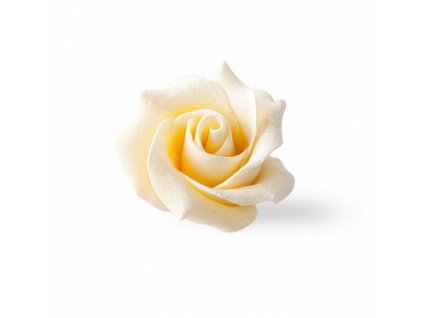 Čokoládová dekorácia Biela ruža 45x30mm 15ks (77490)