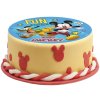 231403 DISCO COMESTIBLE TARTA MICKEY ZERO 155CM 3