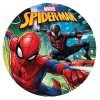 236040 DISCOS COMESTIBLES TARTA SPIDERMAN ZERO 20CM 1