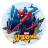 231362 DISCO COMESTIBLE TARTA SPIDERMAN 16CM ZERO 1