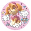 160163 DISCO OBLEA TARTA SKYE PAW PATROL 20CM 1