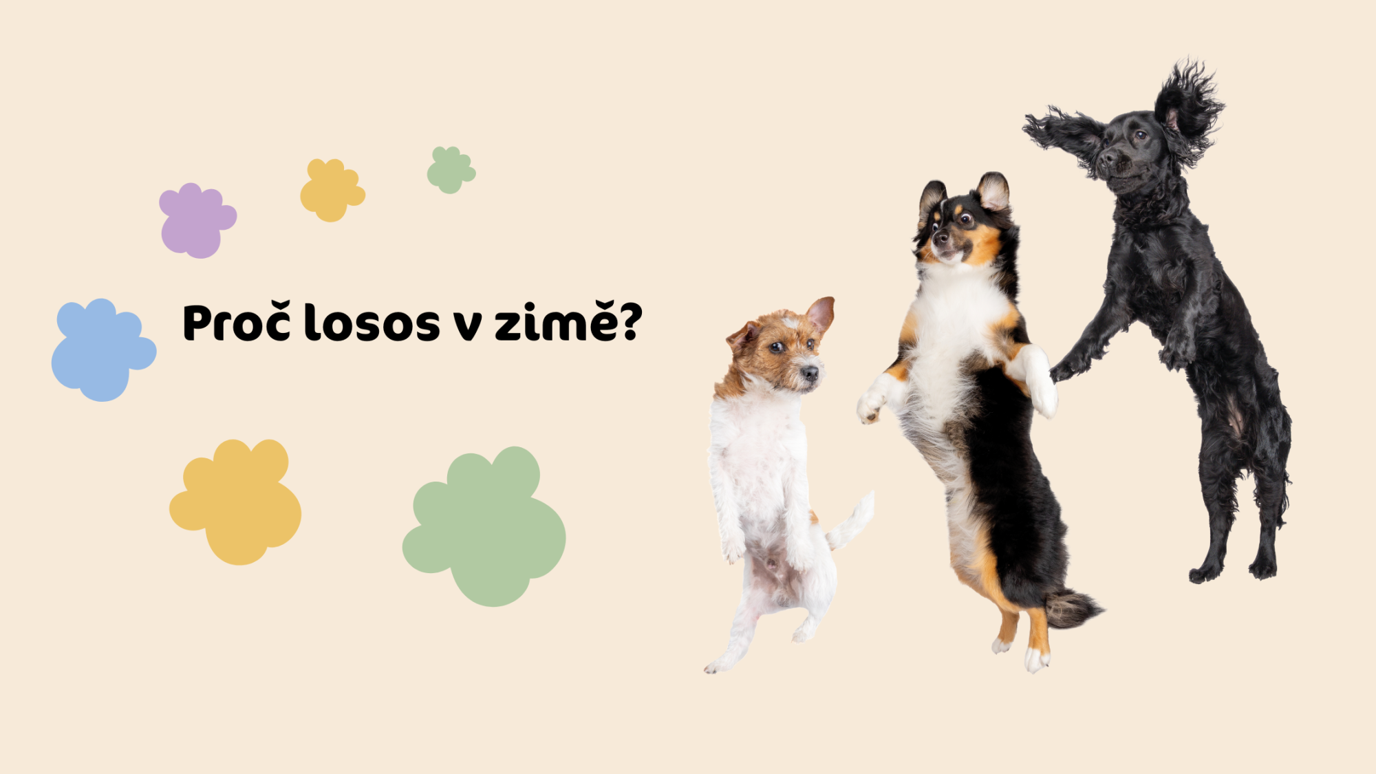 Proč zvolit lososové granule v zimě?