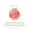 Inkoust Ferris Wheel Press 38 ml Wonderland in Coral swatch