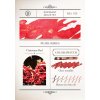 inkoust do pera swatch christmas red