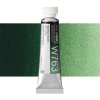 akvarelova barva holbein 5 ml nightfall green 763