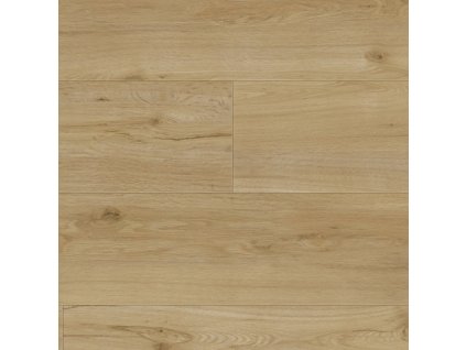 0347 ballerina