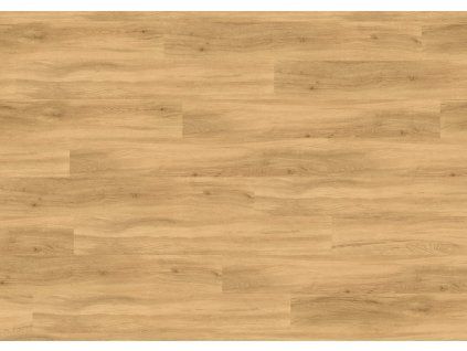 75006 0870 Quartet Honey