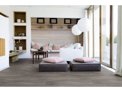 2004 Macchiato Brown 2