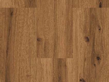 9593 dub královský tmavý