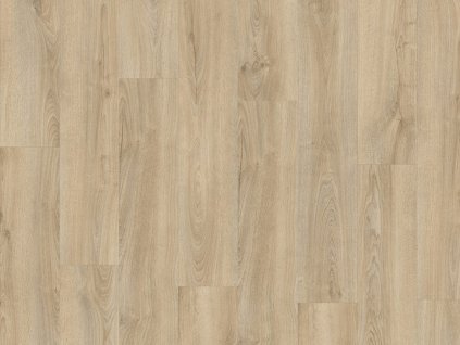 el kentucky oak 83226 topshot 2