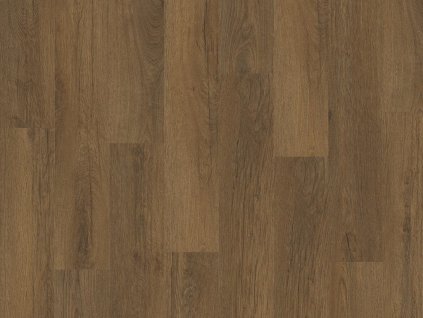 el stellata oak 89876 topshot