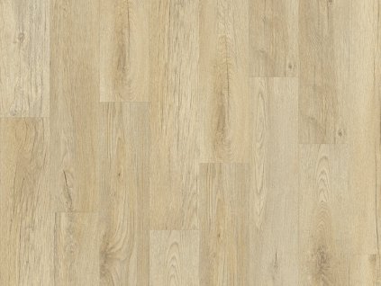 el stellata oak 89220 topshot