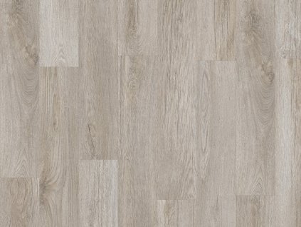 el stellata oak 89940 topshot 1