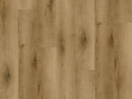 Dutch Oak