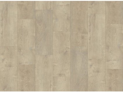 Sofia Oak změněno na 1024x756