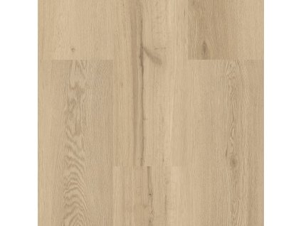 9595 dub elegantní natur