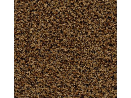 Screenshot 2026 01 07 at 14 48 50 Coral Brush čisticí zóna Forbo Flooring Systems