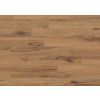 86781 JPG 72 dpi Creation 1606 Cedar Golden Sky View