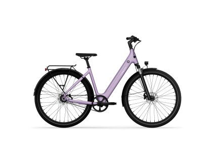 lavenderpurple 1 1500x