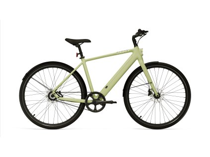 cgo600pro avocado