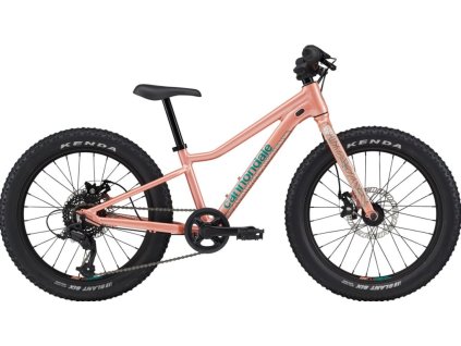CANNONDALE KIDS TRAIL PLUS 20"