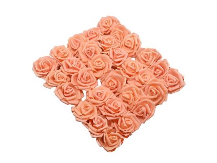 růže lososová 8cm