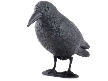 Odpuzovač holubů a ptáků (havran)