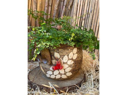 vyr 190 obal s ousky S c 2 1